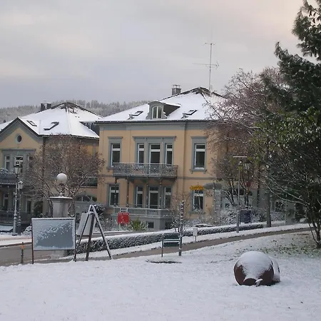 Διαμέρισμα Vogesen *