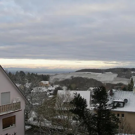 Vogesen Διαμέρισμα *