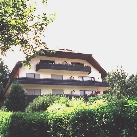 Διαμέρισμα Vogesen *