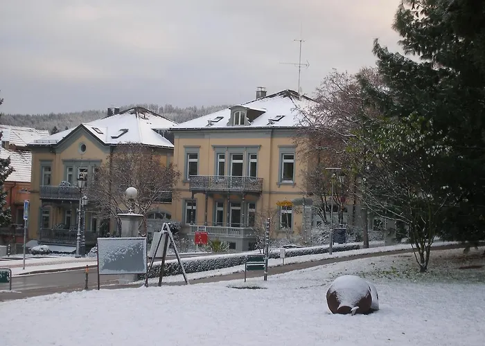 Апартаменты Vogesen *