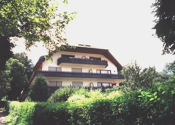 Апартаменты Vogesen *